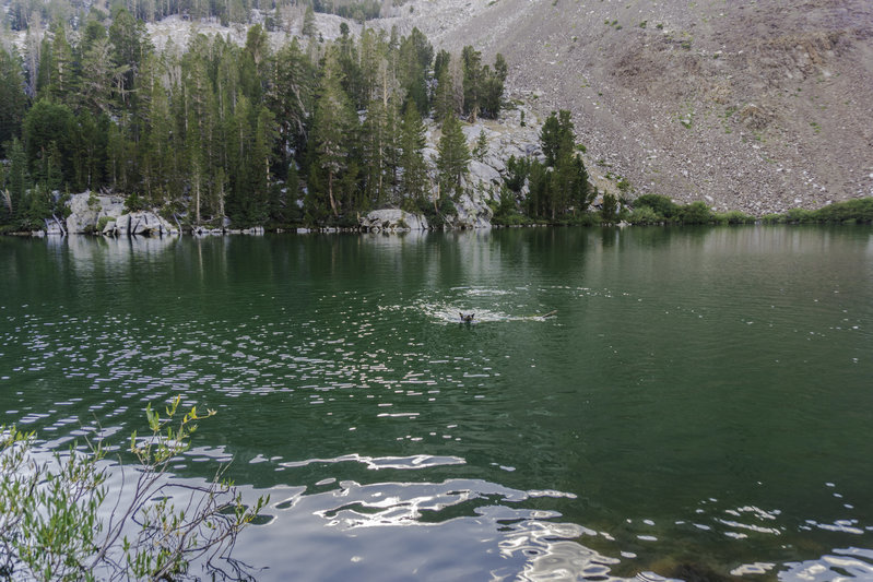 DSC00951.jpg