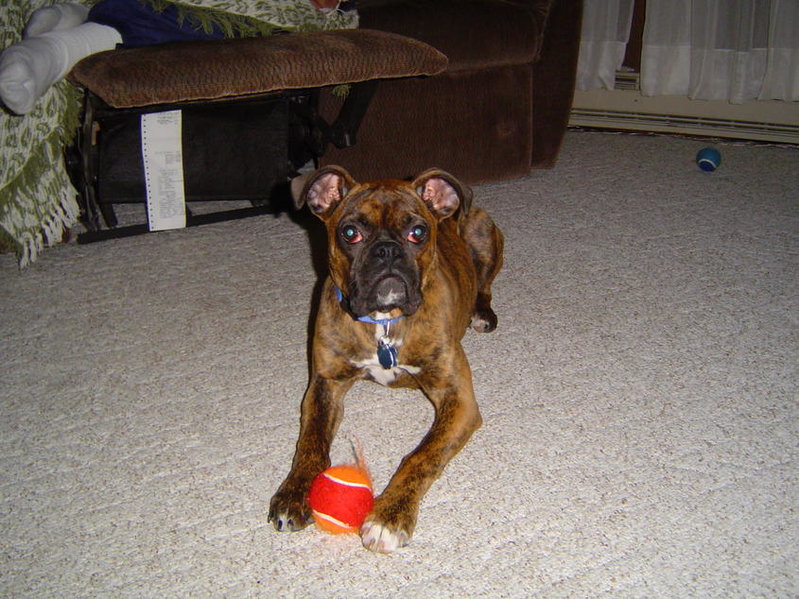 DSC00984.jpg