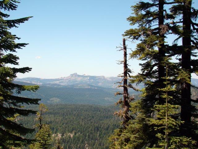 DSC00993_629081a265abb07724c96f952b3d09685ce923ed.jpg