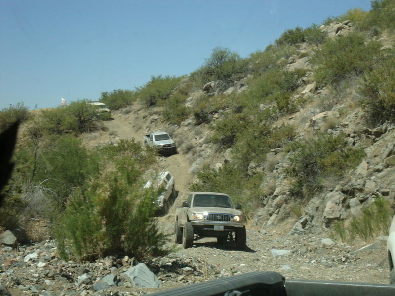 DSC01010.jpg