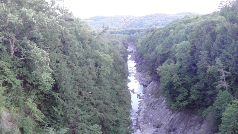 DSC01050.jpg