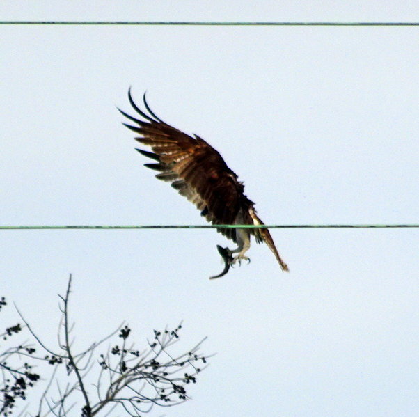 DSC01114.jpg