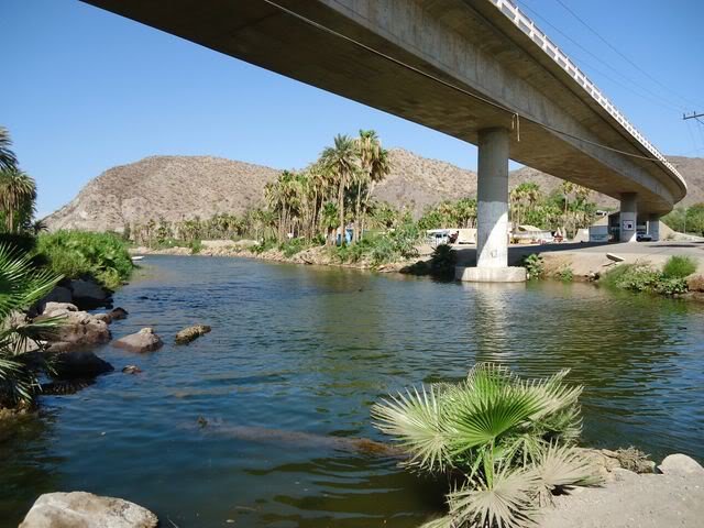 DSC01115640x480_8b1a9e2806947c8a87dda10f63ce8b2ccf940d12.jpg