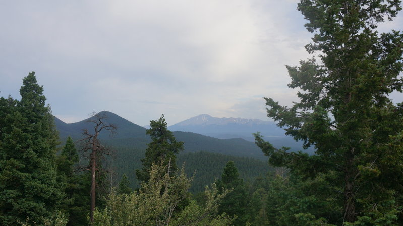 DSC01143.jpg