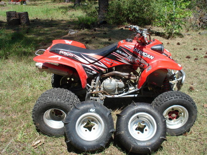 DSC01204.jpg