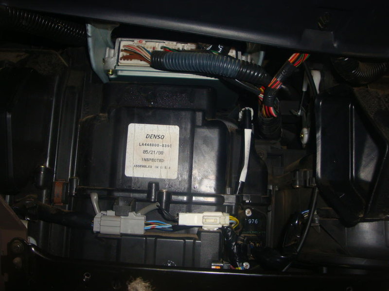 DSC01204.jpg
