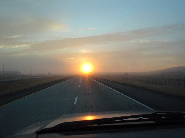DSC01293.jpg