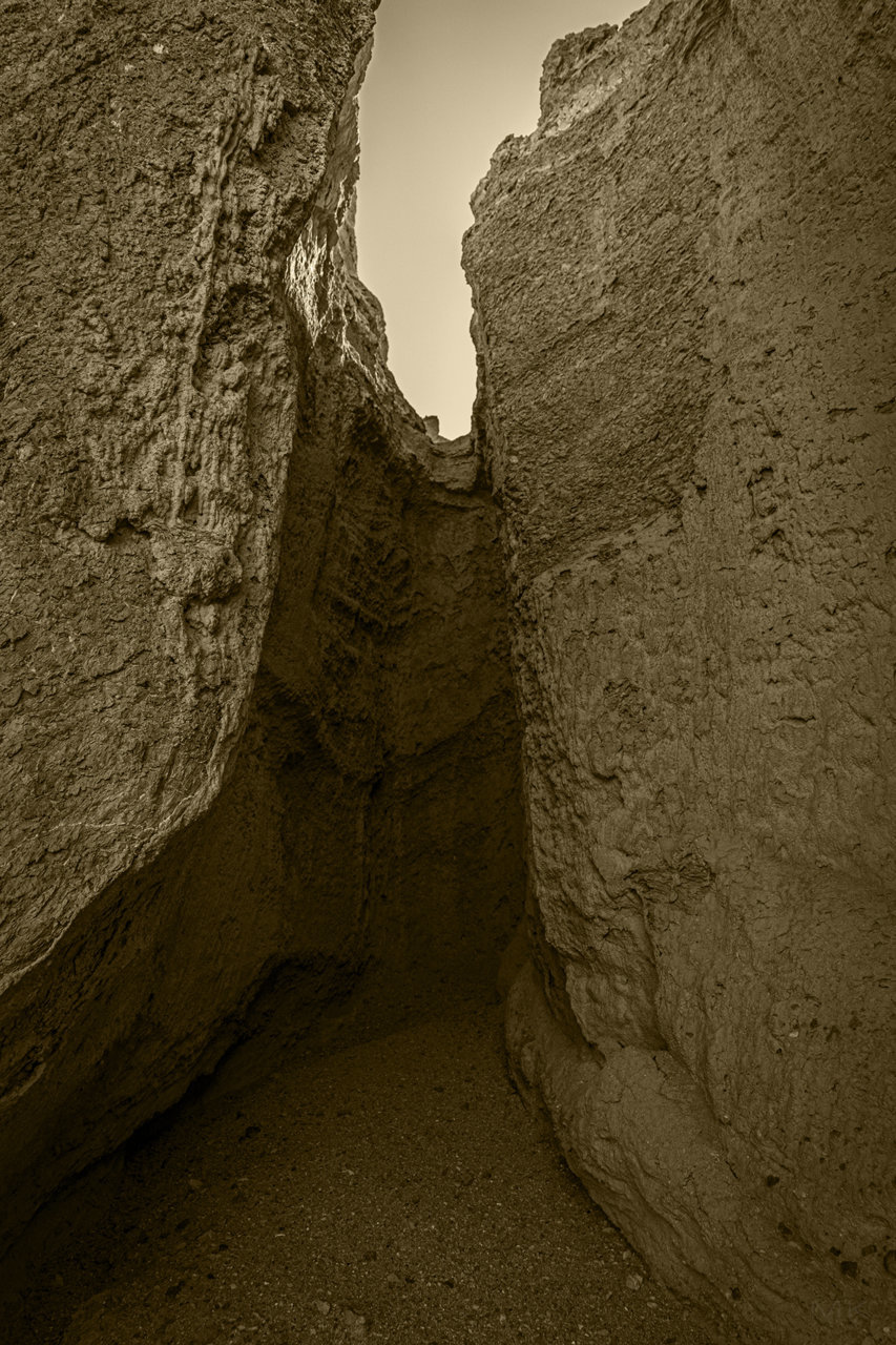 DSC01296bs.jpg