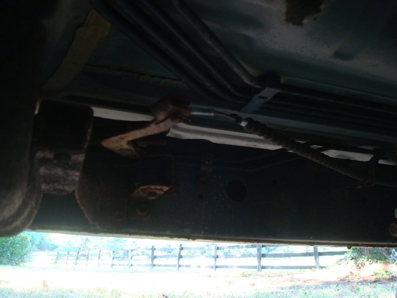 DSC01347.jpg