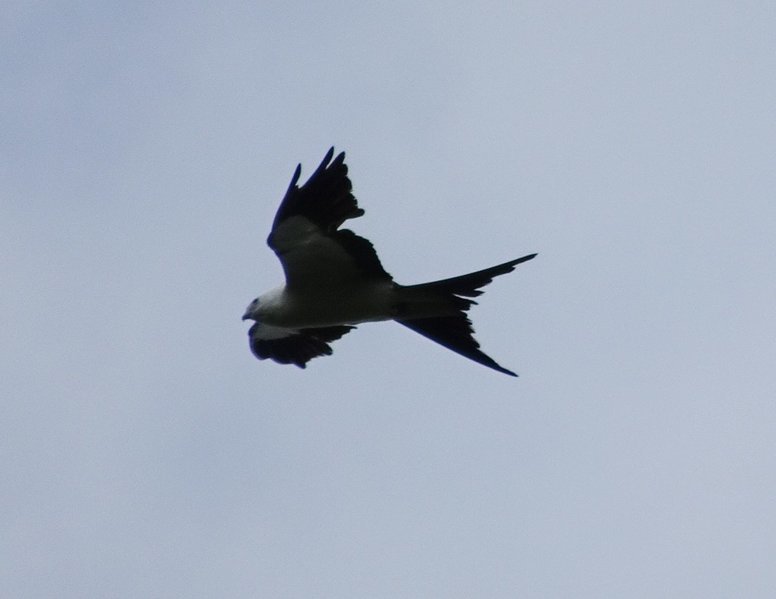 DSC01364.jpg