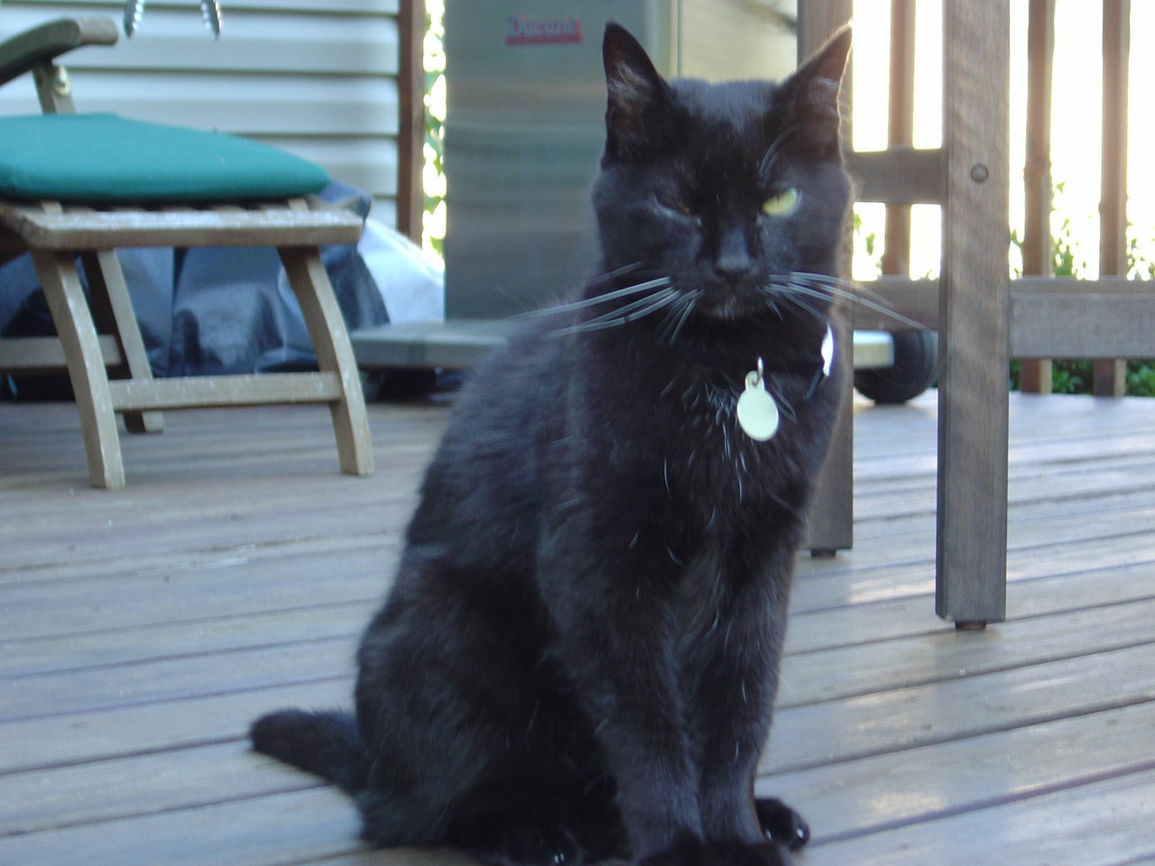 DSC01396.jpg