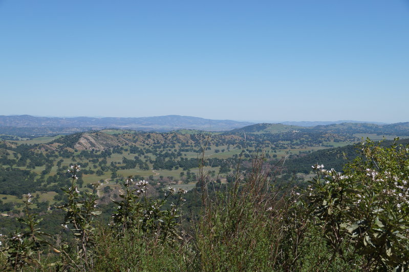 DSC01409.jpg