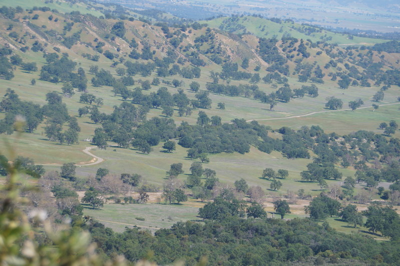 DSC01411.jpg