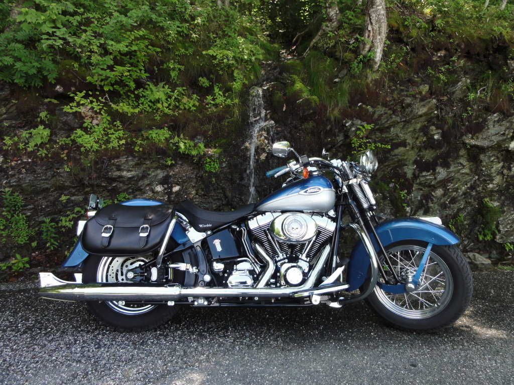 DSC01411_6f41f65c7f780224bc1ec9621239a20e84d07916.jpg