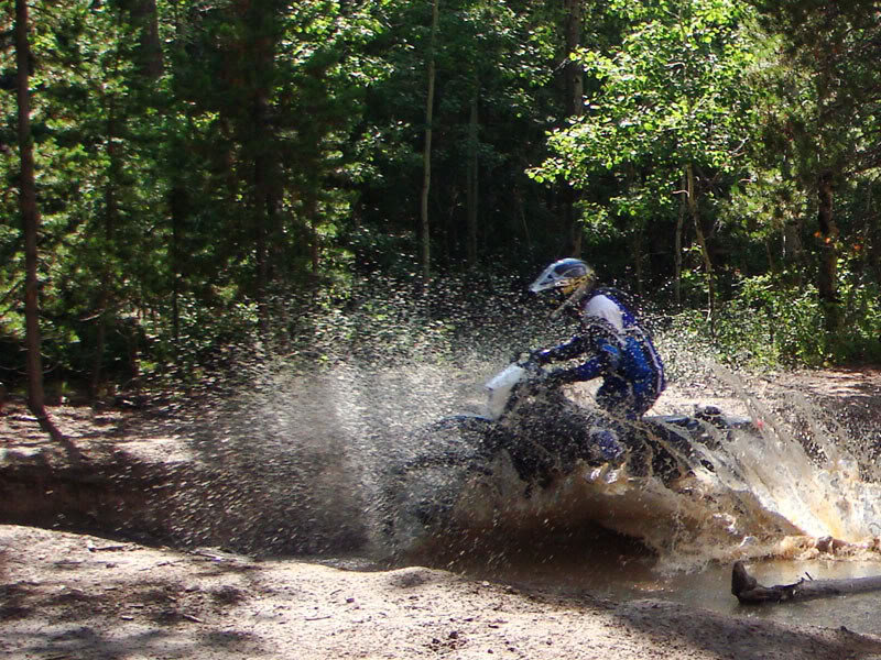 DSC01432_0756d0f49919940ddfe2edc468b0223e0326c0c8.jpg