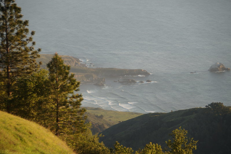 DSC01470.jpg