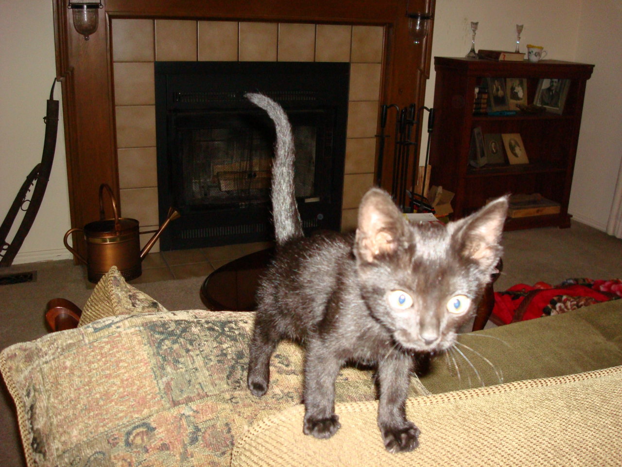 DSC01508.jpg