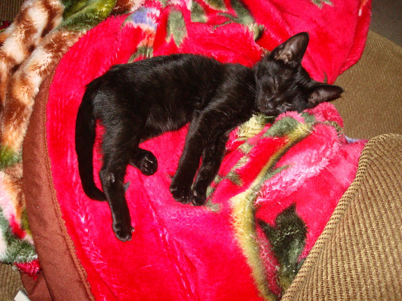 DSC01647.jpg