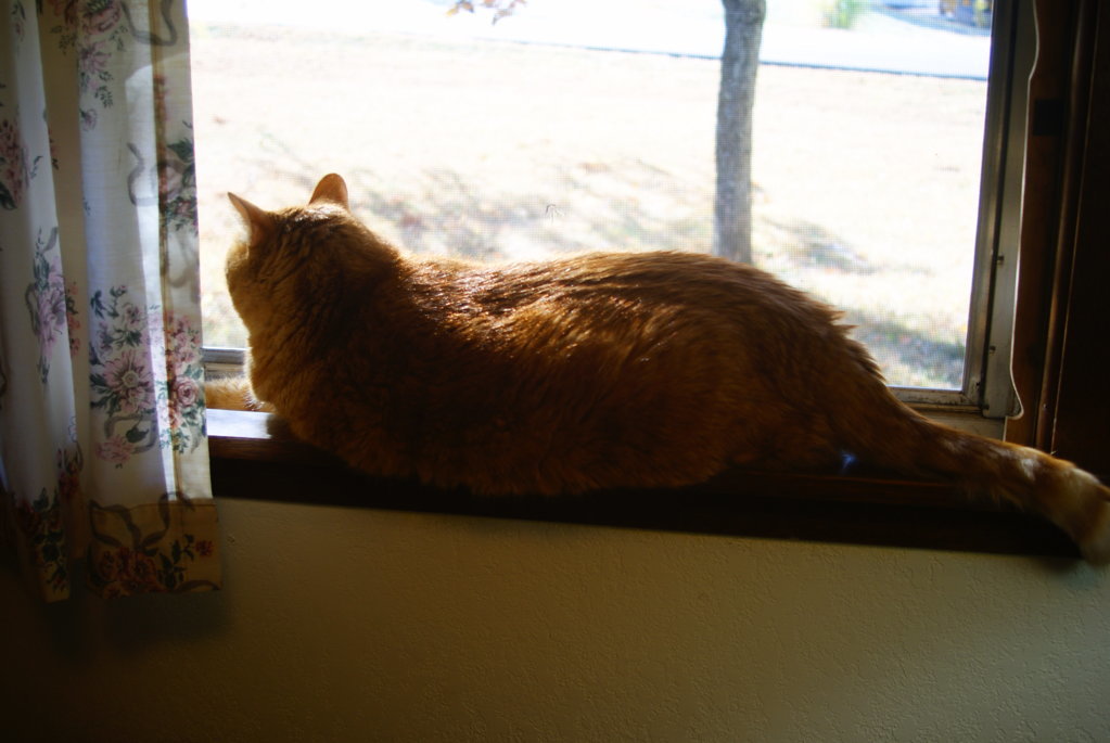 DSC01674.jpg