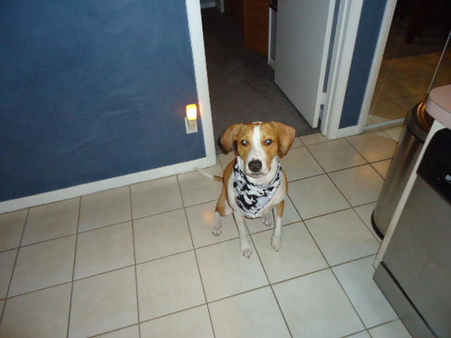 DSC01682.jpg