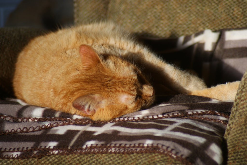 DSC01687.jpg