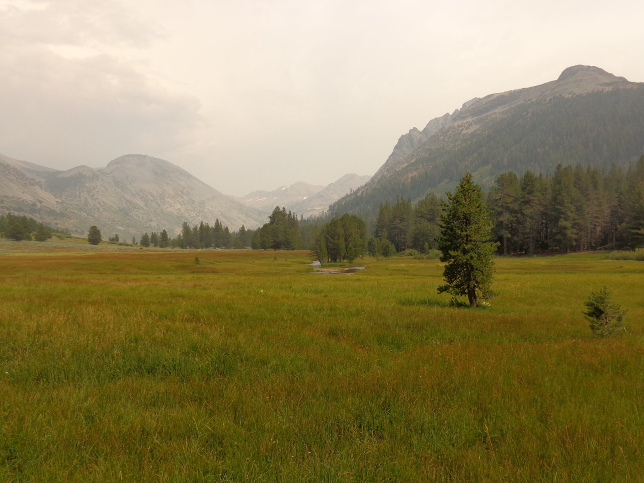 DSC01728.jpg