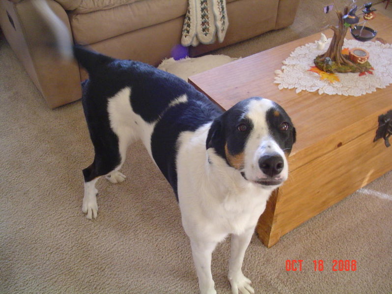 DSC01735.jpg