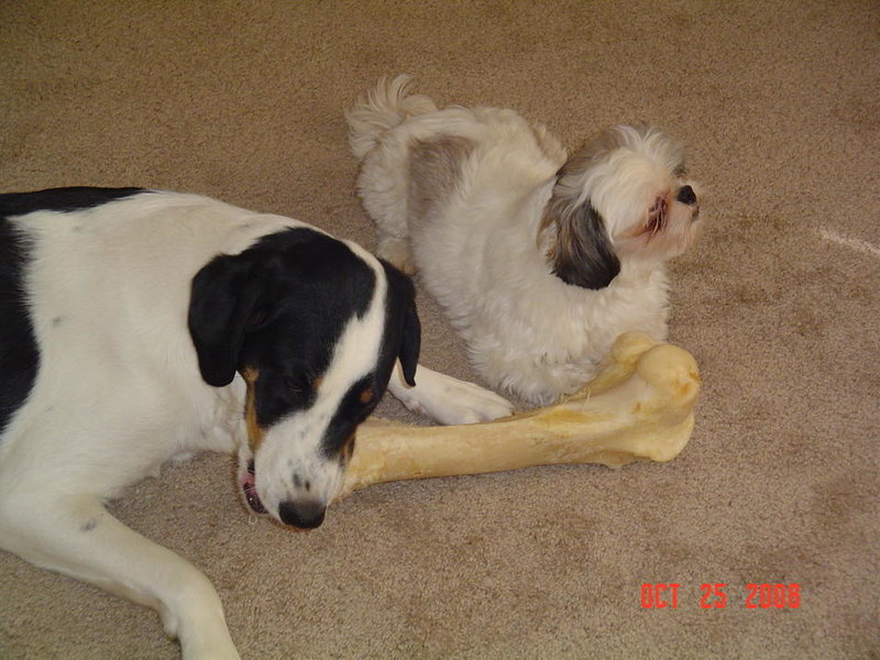 DSC01759.jpg