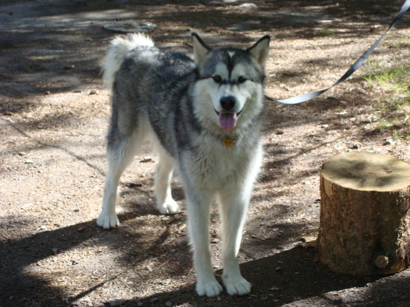 DSC01793.jpg
