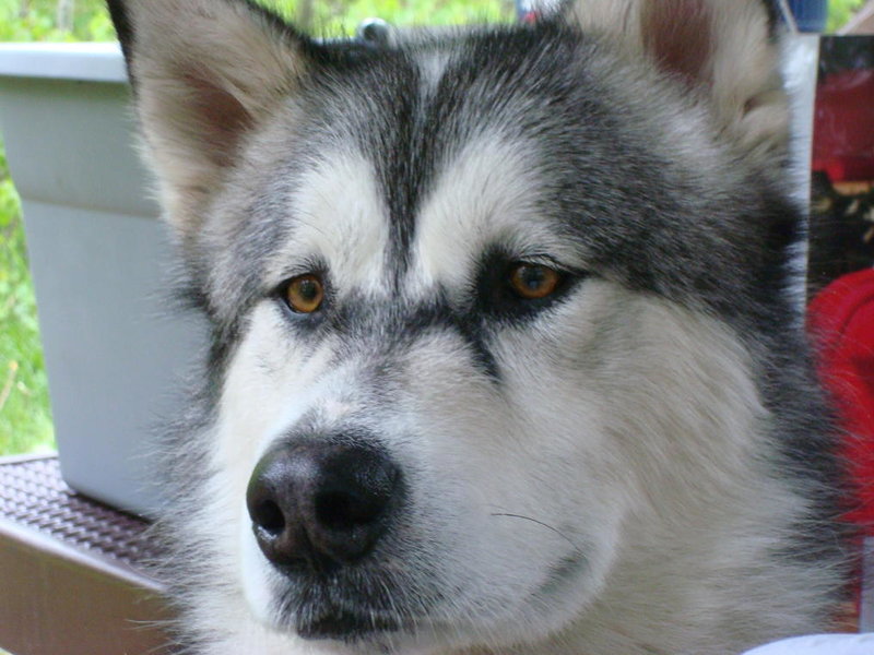 DSC01831.jpg