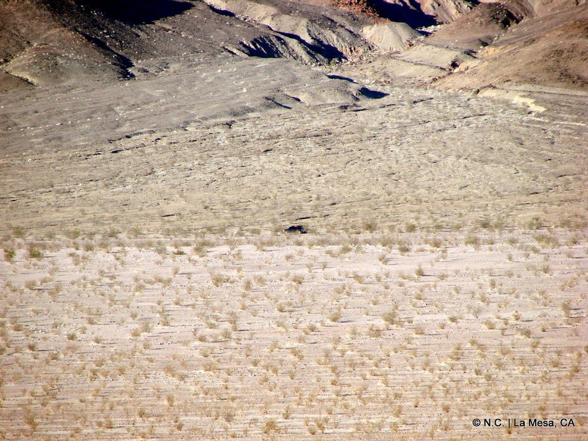 DSC01835_f00043b2047e0c15443378fc47ae9ad29f7401fd.jpg