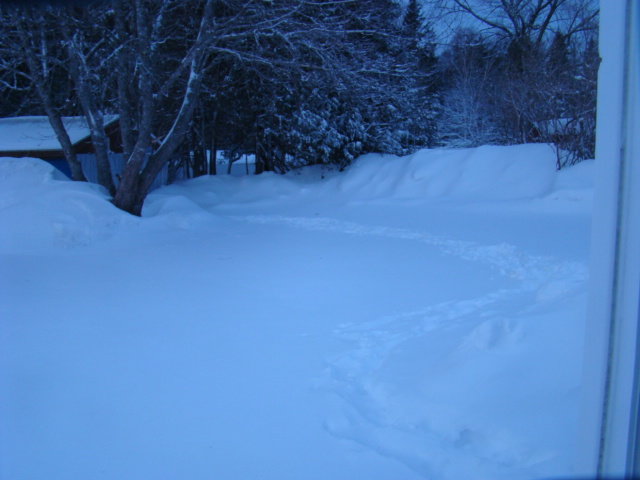 DSC01906.jpg