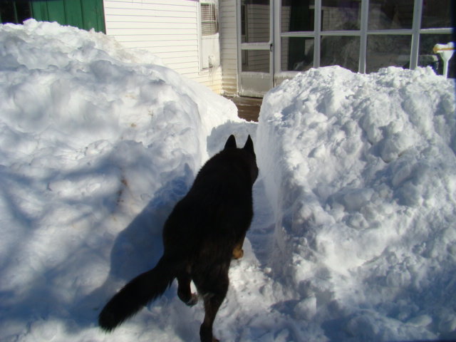 DSC01945.jpg