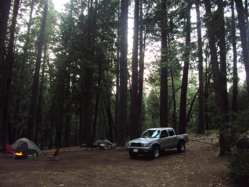 DSC02020.jpg