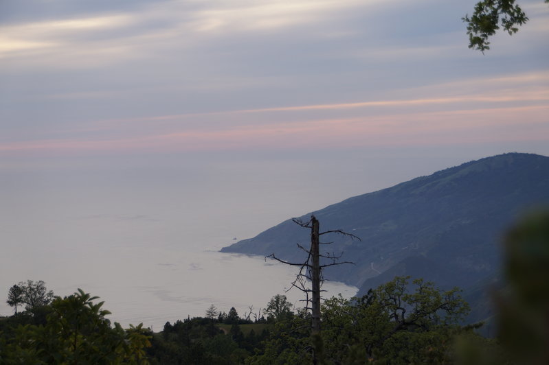DSC02127.jpg