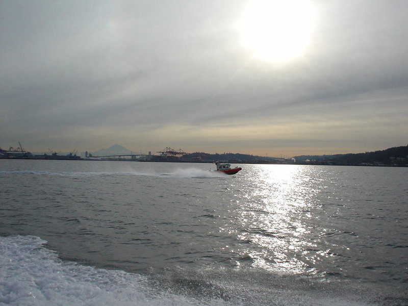 DSC02134.jpg