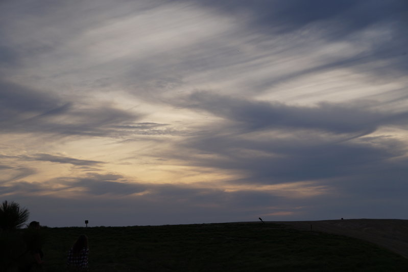 DSC02156.jpg