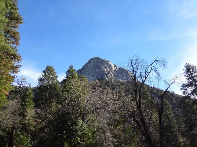 DSC02200.jpg