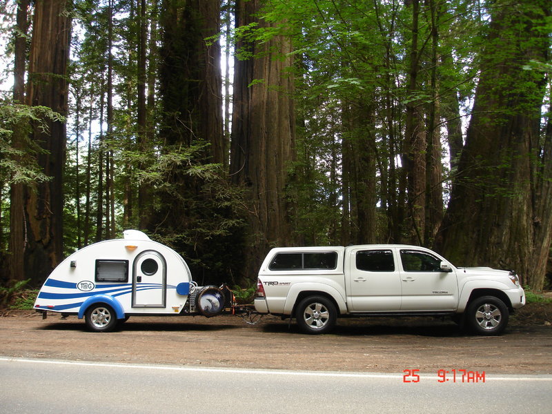 DSC02209.jpg