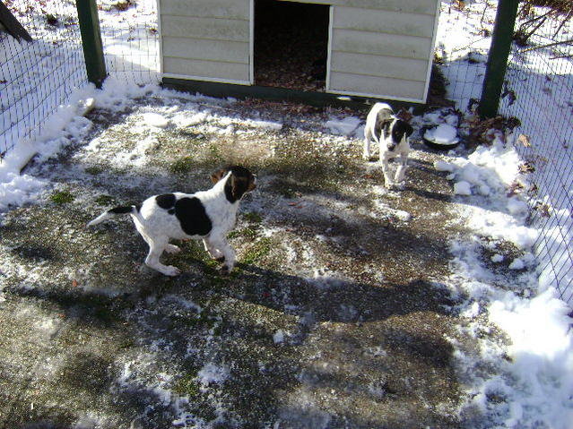 DSC02218.jpg