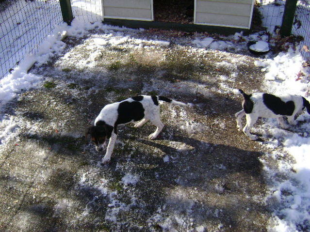 DSC02220.jpg