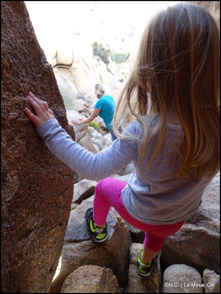 DSC02248_aa4bd0f44218a377d22ec05ed7a51371e47f703b.jpg