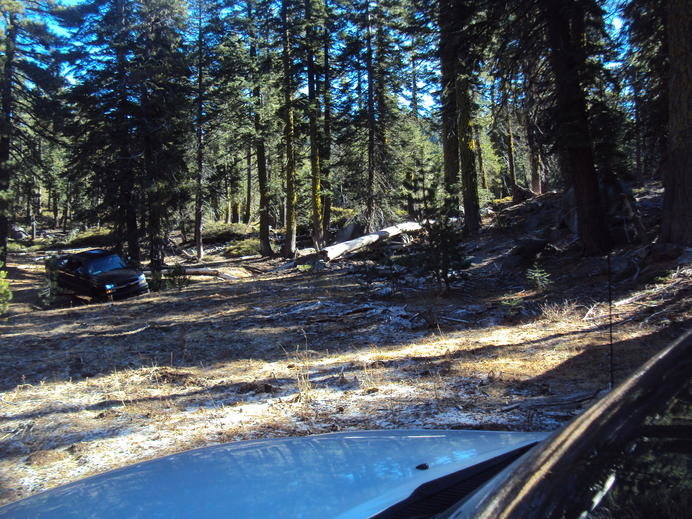 DSC02262.jpg
