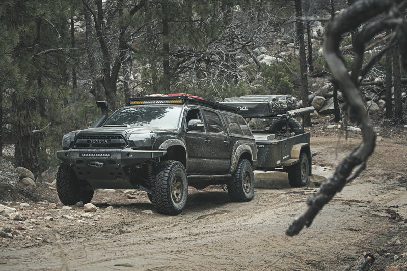 DSC02274[1].jpg