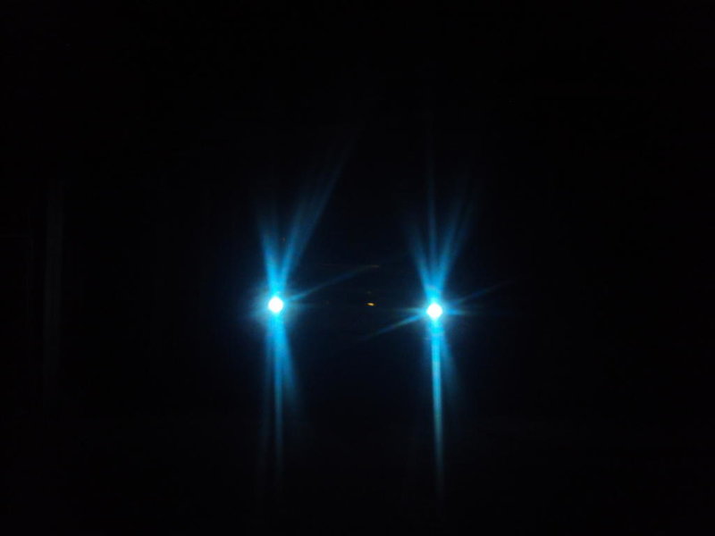 DSC02306.jpg