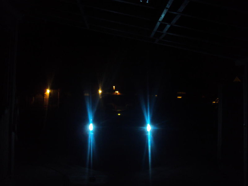 DSC02308.jpg