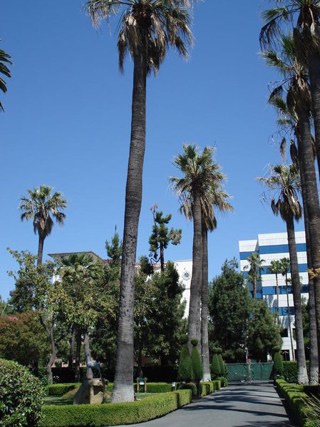 DSC02343.jpg