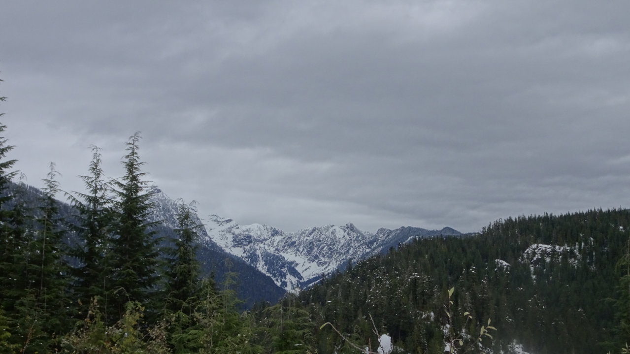 DSC02350.jpg