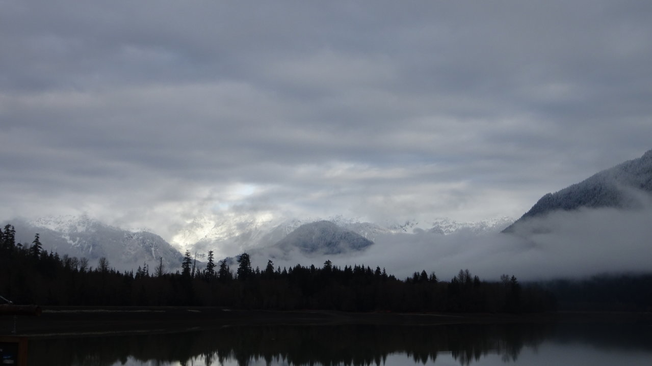 DSC02452.jpg