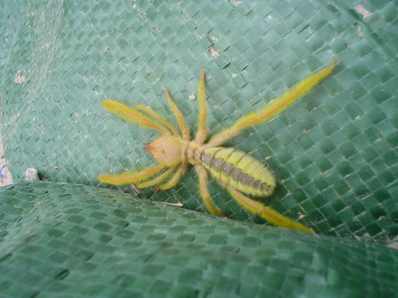 DSC02472.jpg
